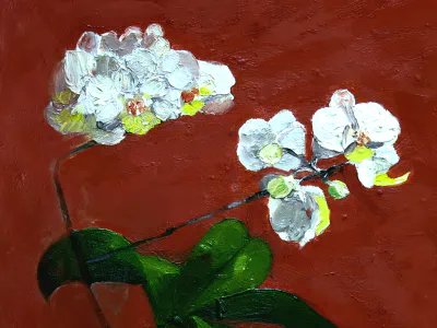 Sedas - MAIN - Stilllife orchidee  in red 1.jpg