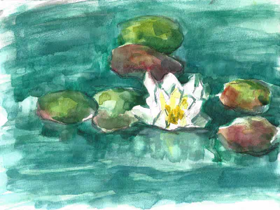 Sedas - MAIN - Waterlelies - Witte Bloem 1.jpg
